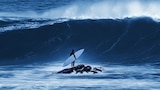 100 foot wave