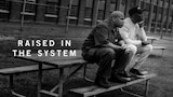 Raised in the System