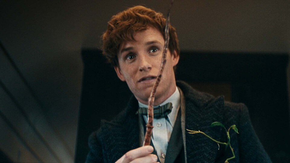 Newt Scamander played by Eddie Redmayne