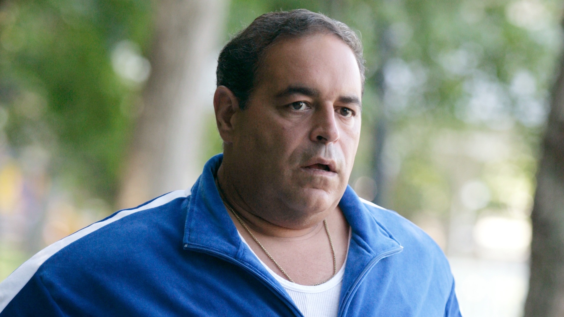 vito-spatafore-played-by-joe-gannascoli-on-the-sopranos-official